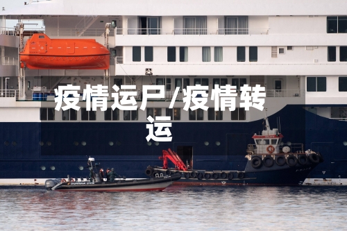 疫情运尸/疫情转运-第3张图片