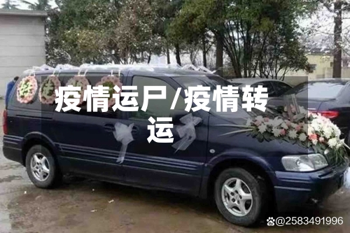 疫情运尸/疫情转运-第2张图片