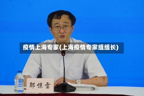 疫情上海专家(上海疫情专家组组长)
