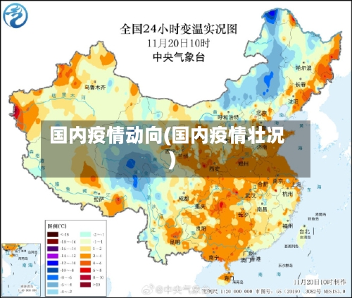 国内疫情动向(国内疫情壮况)