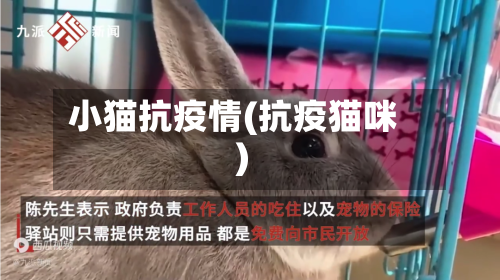小猫抗疫情(抗疫猫咪)