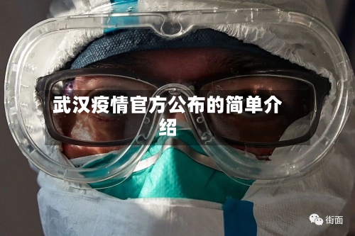 武汉疫情官方公布的简单介绍-第2张图片