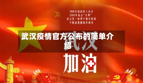 武汉疫情官方公布的简单介绍-第3张图片