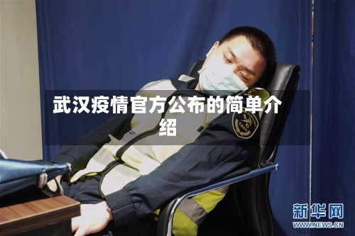 武汉疫情官方公布的简单介绍