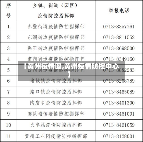 【黄州疫情图,黄州疫情防控中心】-第3张图片