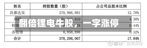 翻倍锂电牛股，一字涨停