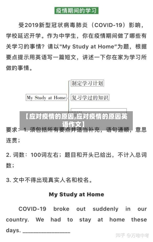 【应对疫情的原因,应对疫情的原因英语作文】-第3张图片