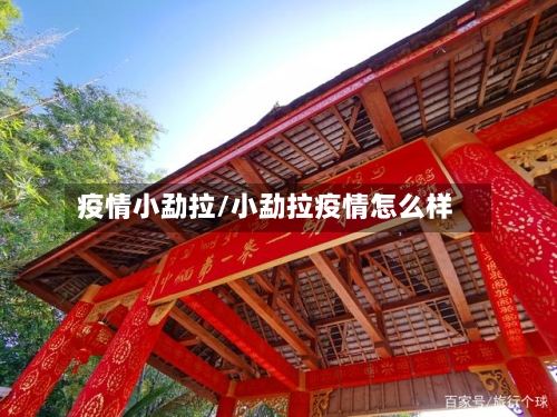 疫情小勐拉/小勐拉疫情怎么样-第2张图片