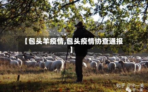 【包头羊疫情,包头疫情协查通报】-第2张图片
