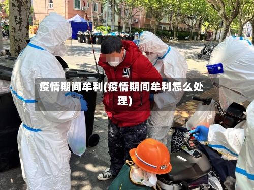 疫情期间牟利(疫情期间牟利怎么处理)-第2张图片