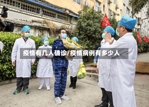 疫情有几人确诊/疫情病例有多少人-第3张图片