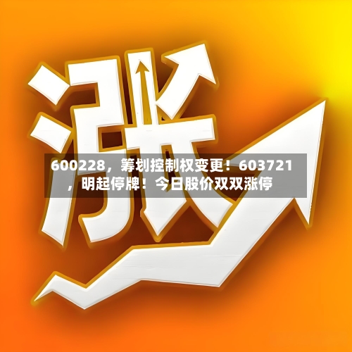 600228	，筹划控制权变更！603721，明起停牌！今日股价双双涨停-第2张图片