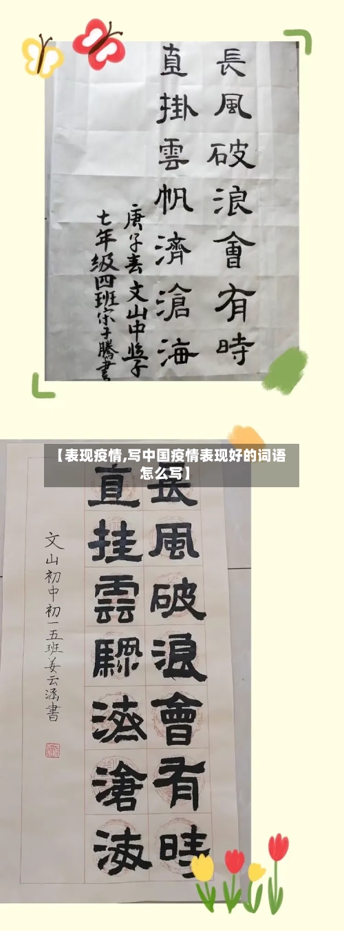 【表现疫情,写中国疫情表现好的词语怎么写】-第2张图片