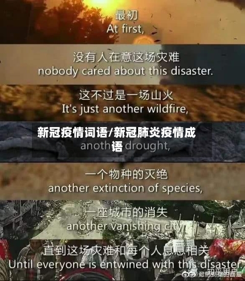 新冠疫情词语/新冠肺炎疫情成语-第2张图片