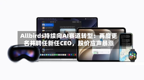 Allbirds持续向AI赛道转型：再度更名并聘任新任CEO，股价应声暴涨-第2张图片