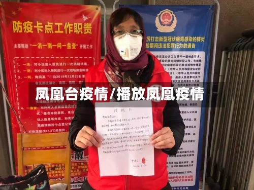 凤凰台疫情/播放凤凰疫情