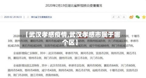 【武汉孝感疫情,武汉孝感市属于哪个区】