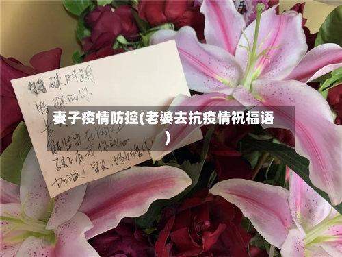 妻子疫情防控(老婆去抗疫情祝福语)