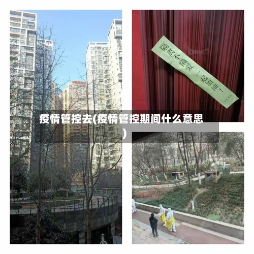 疫情管控去(疫情管控期间什么意思)-第3张图片