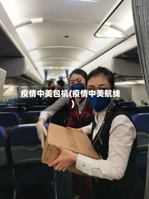 疫情中美包机(疫情中美航线)-第2张图片