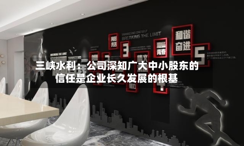 三峡水利:公司深知广大中小股东的信任是企业长久发展的根基-第3张图片