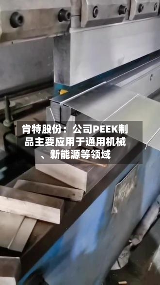 肯特股份：公司PEEK制品主要应用于通用机械、新能源等领域-第2张图片