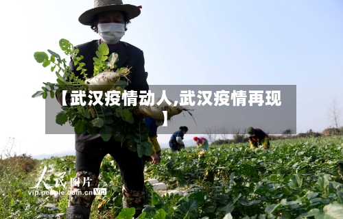 【武汉疫情动人,武汉疫情再现】-第2张图片