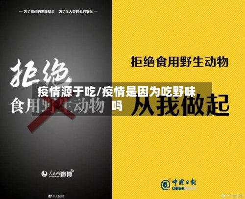 疫情源于吃/疫情是因为吃野味吗
