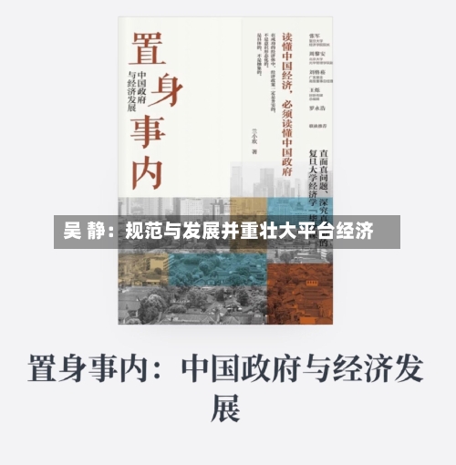 吴 静：规范与发展并重壮大平台经济