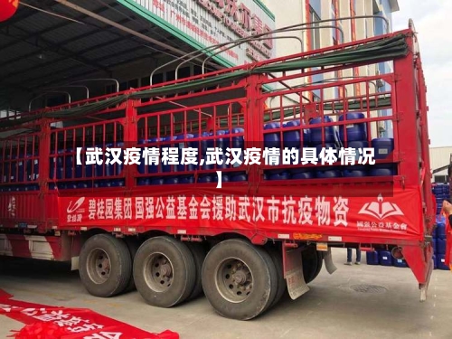 【武汉疫情程度,武汉疫情的具体情况】-第3张图片