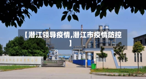 【潜江领导疫情,潜江市疫情防控】-第2张图片