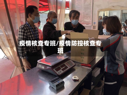 疫情核查专班/疫情防控核查专班-第2张图片