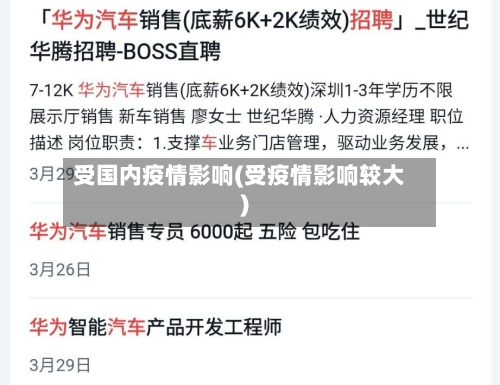 受国内疫情影响(受疫情影响较大)