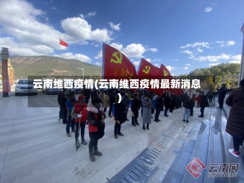 云南维西疫情(云南维西疫情最新消息)-第2张图片