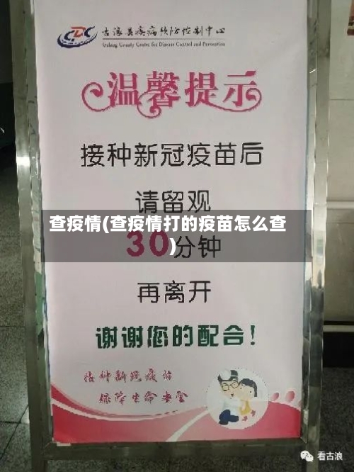 查疫情(查疫情打的疫苗怎么查)