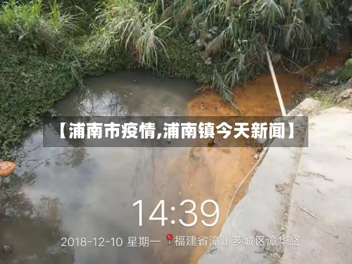 【浦南市疫情,浦南镇今天新闻】