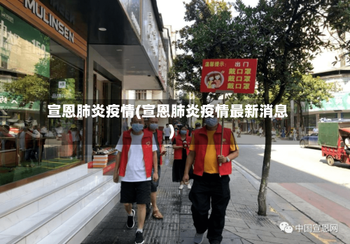 宣恩肺炎疫情(宣恩肺炎疫情最新消息)-第3张图片