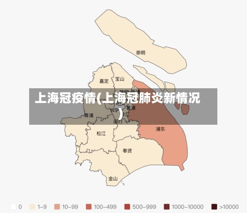 上海冠疫情(上海冠肺炎新情况)