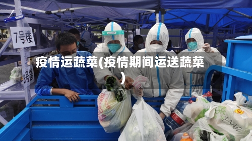 疫情运蔬菜(疫情期间运送蔬菜)-第2张图片