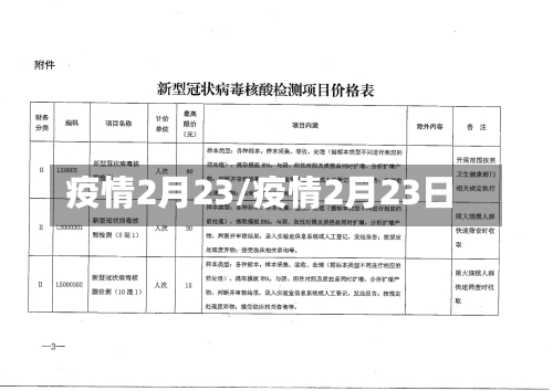 疫情2月23/疫情2月23日