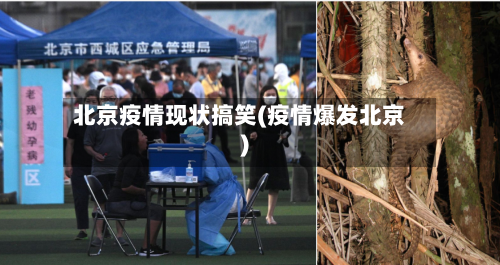 北京疫情现状搞笑(疫情爆发北京)
