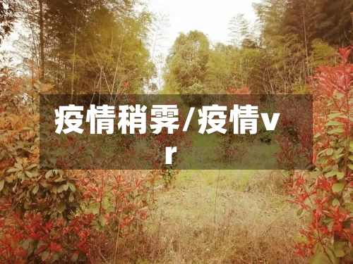 疫情稍霁/疫情vr