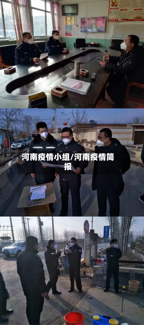 河南疫情小组/河南疫情简报