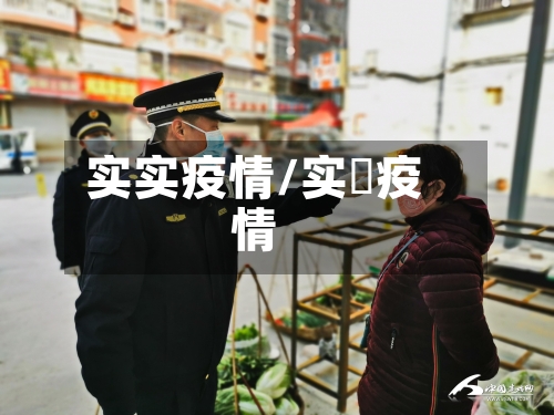 实实疫情/实吋疫情-第2张图片