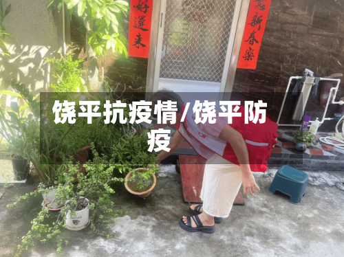 饶平抗疫情/饶平防疫