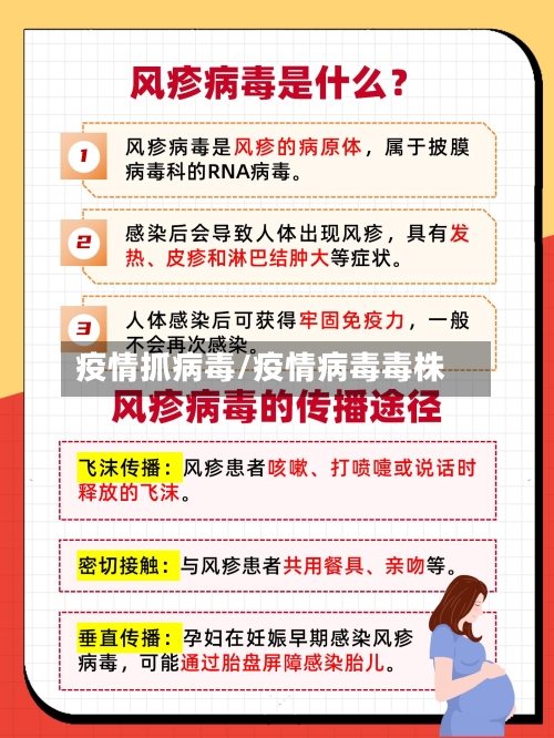 疫情抓病毒/疫情病毒毒株