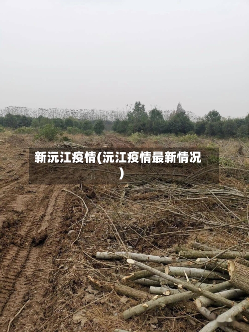 新沅江疫情(沅江疫情最新情况)