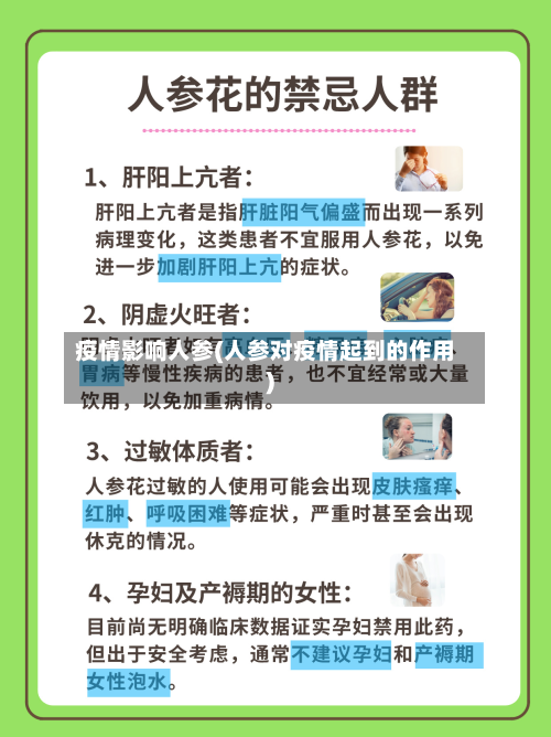 疫情影响人参(人参对疫情起到的作用)