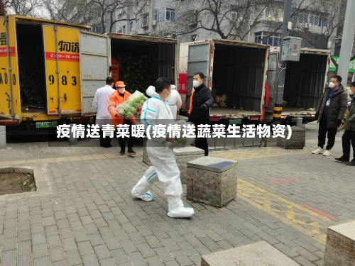 疫情送青菜暖(疫情送蔬菜生活物资)
