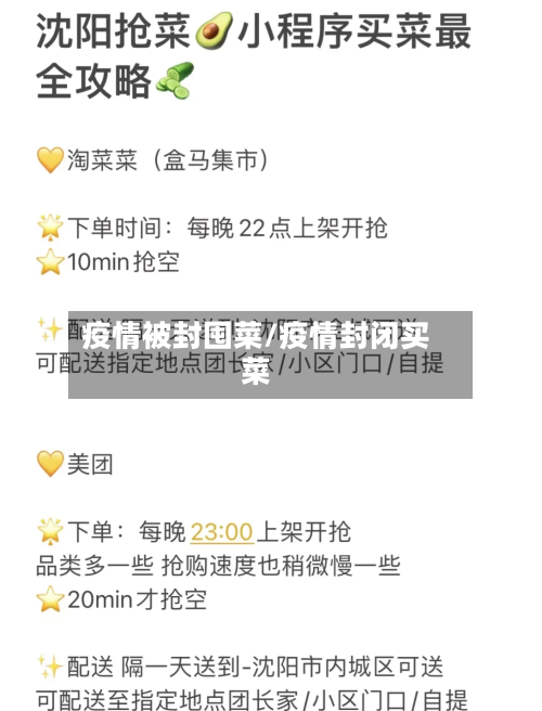 疫情被封囤菜/疫情封闭买菜-第2张图片